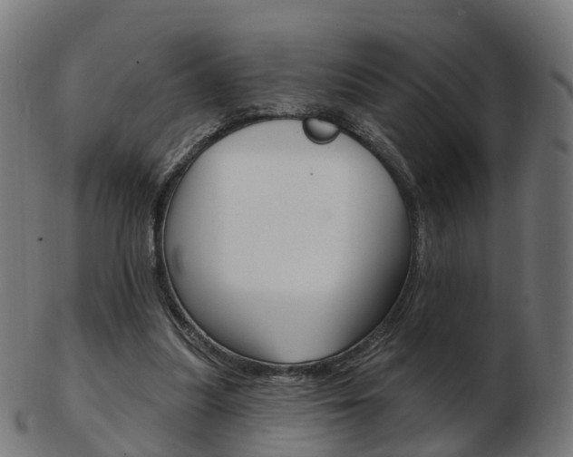 X0000103490251200809120956