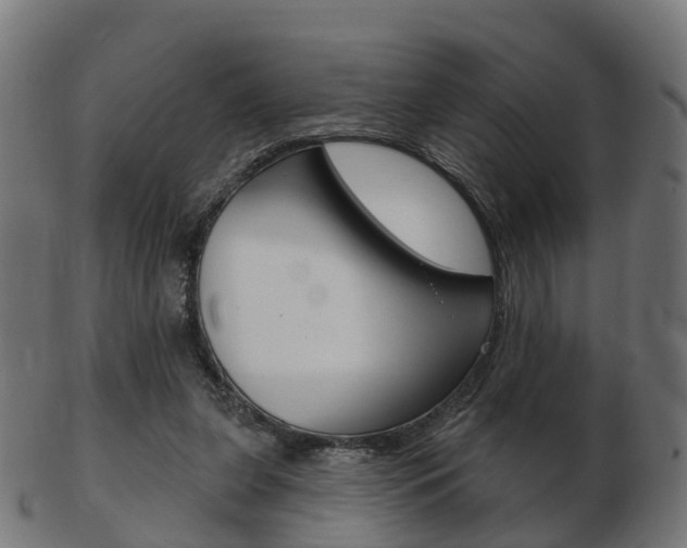 X0000103490255200809120956