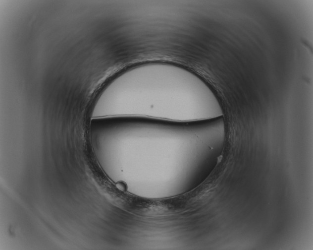 X0000103490256200809120956