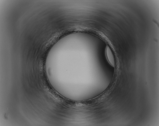 X0000103490257200809120956