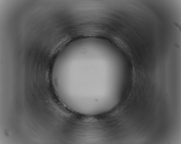X0000103490258200809120956