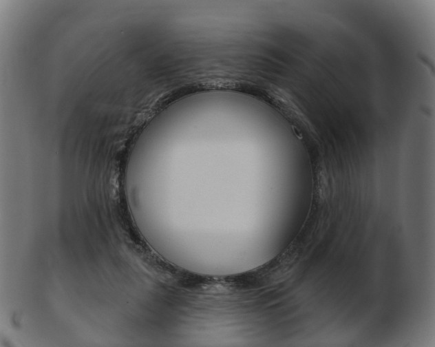 X0000103490259200809120956