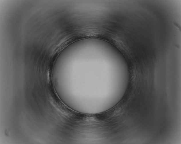 X0000103490262200809120956
