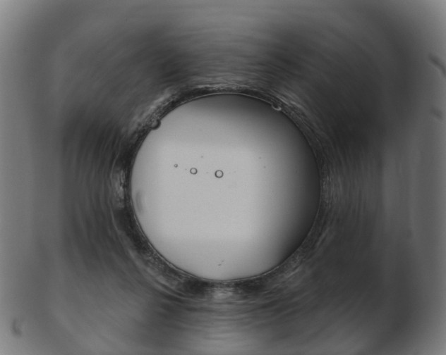 X0000103490264200809120956