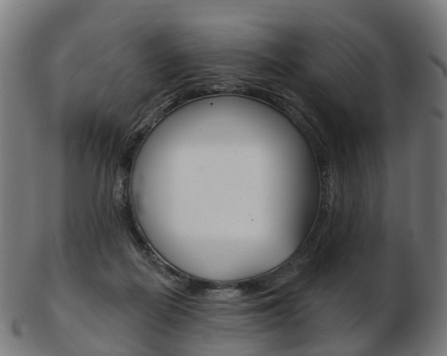X0000103490266200809120956