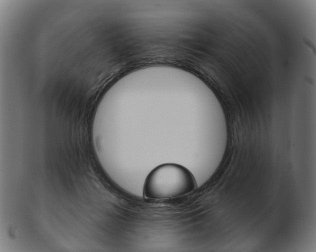 X0000103490268200809120956
