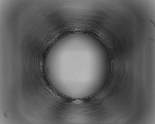 X0000103490269200809120956
