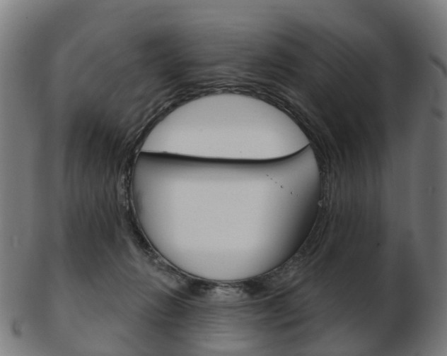 X0000103490270200809120956