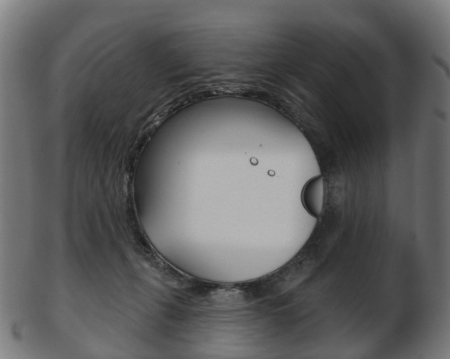 X0000103490271200809120956