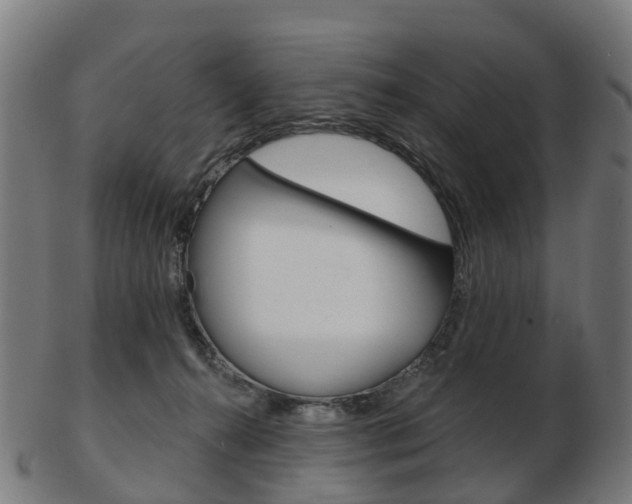X0000103490272200809120956