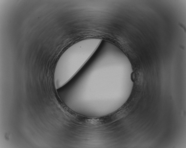 X0000103490273200809120956