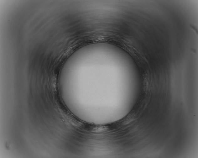 X0000103490274200809120956