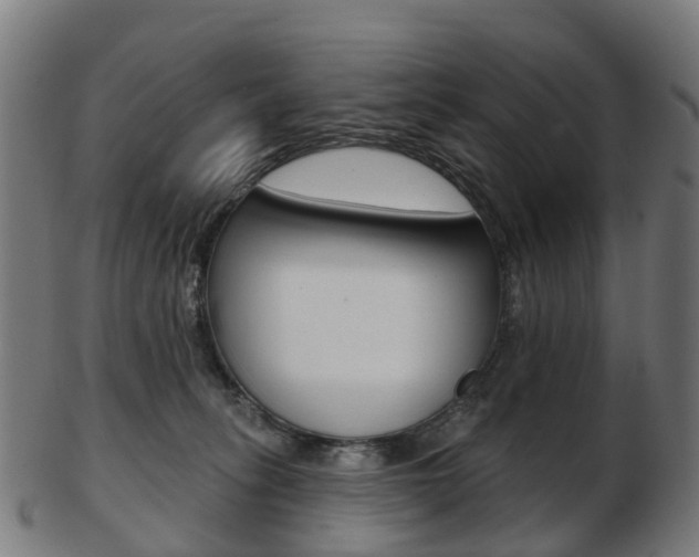 X0000103490275200809120956