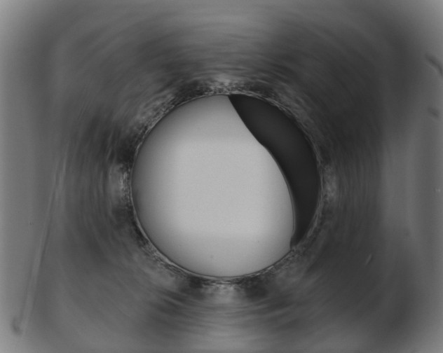 X0000103490276200809120956