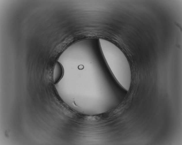 X0000103490277200809120957