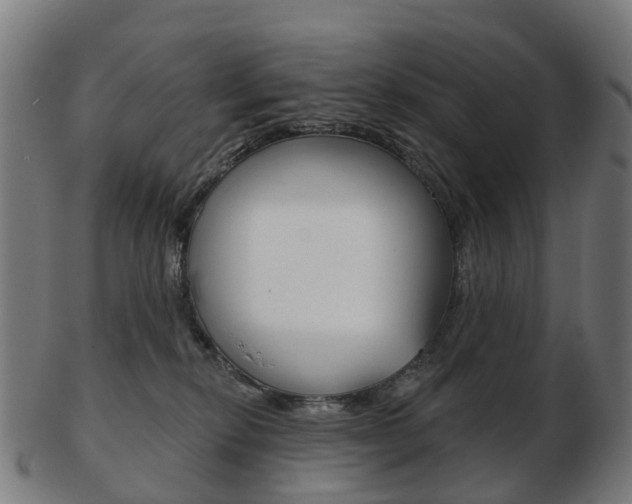 X0000103490278200809120957