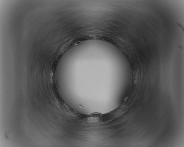 X0000103490279200809120957