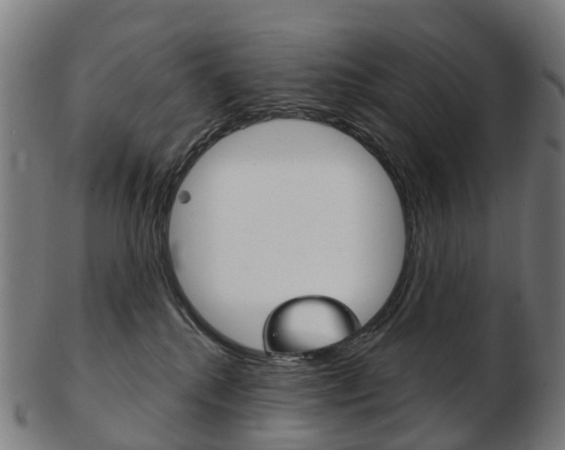 X0000103490280200809120957