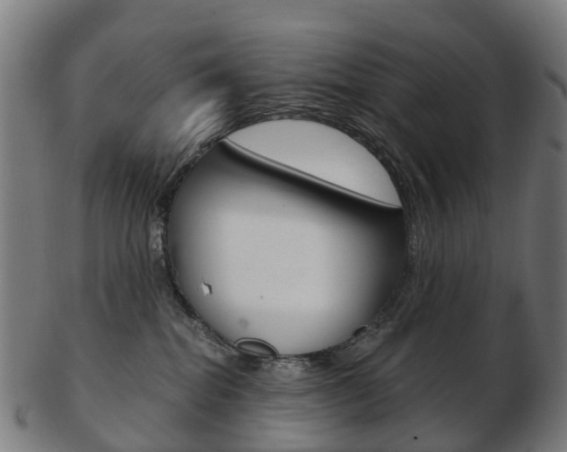 X0000103490282200809120957