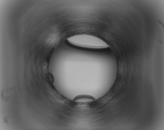 X0000103490283200809120957