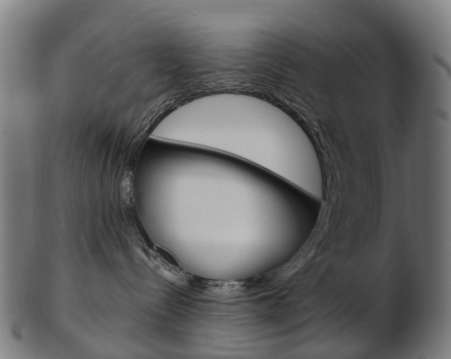 X0000103490288200809120957