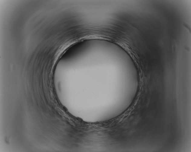 X0000103490289200809120956