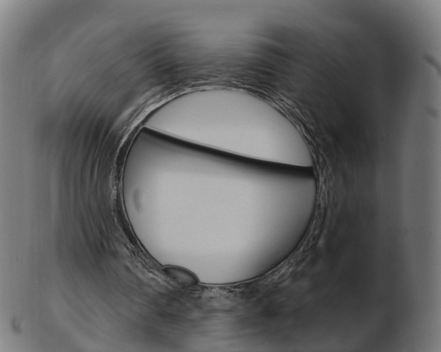 X0000103490290200809120956