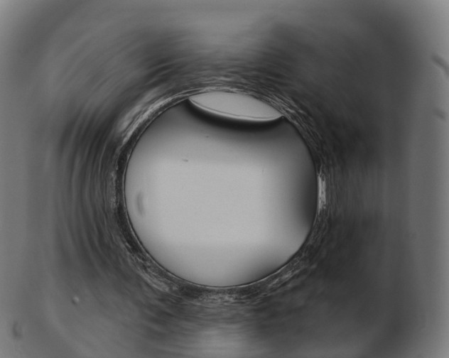 X0000103490291200809120956