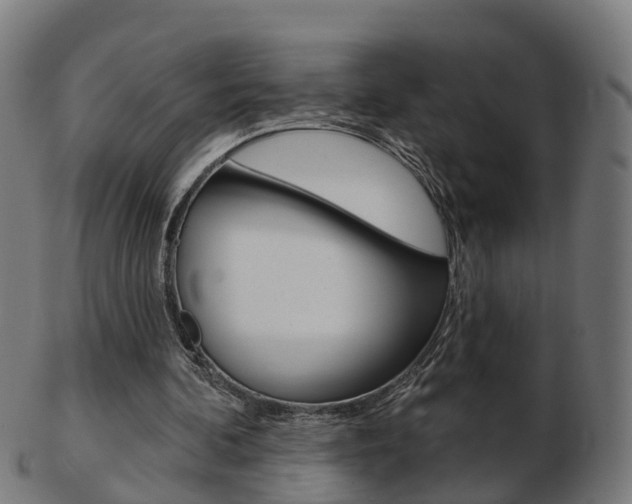 X0000103490292200809120956