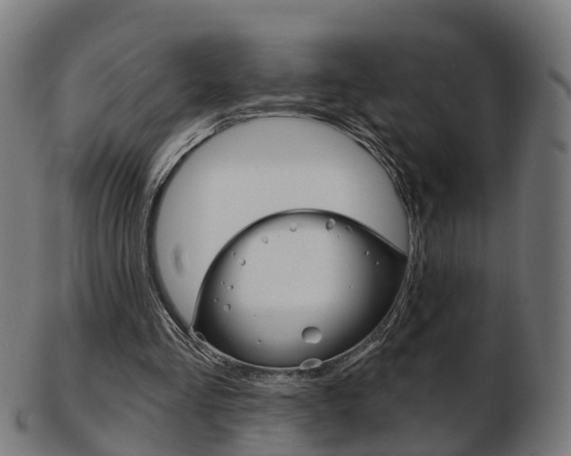 X0000103490293200809120956