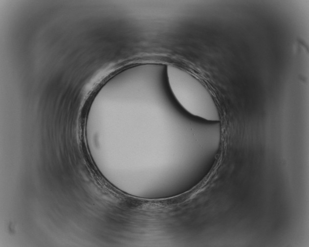 X0000103490294200809120956