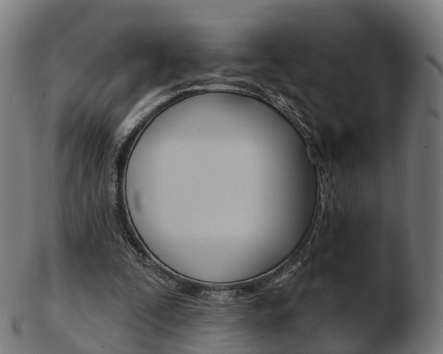 X0000103490295200809120956