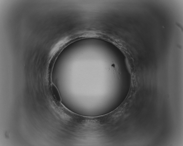X0000103490296200809120956