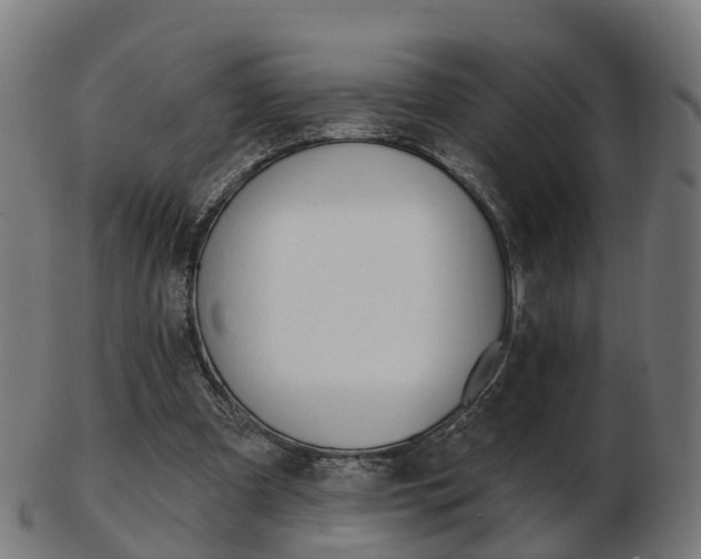 X0000103490297200809120956