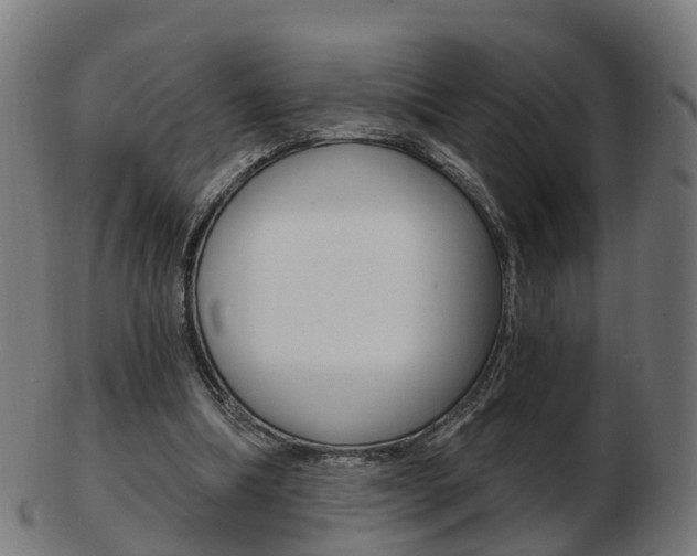 X0000103490298200809120956