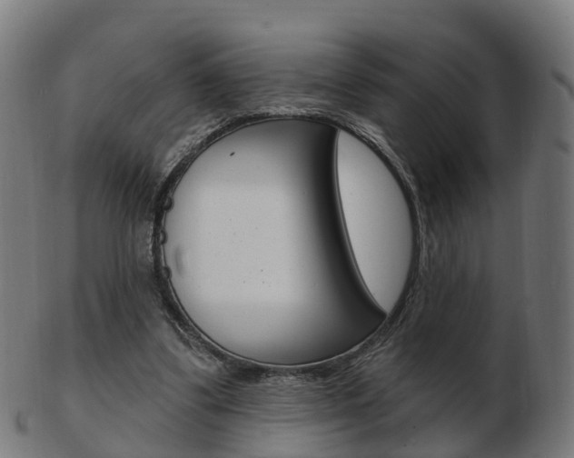 X0000103490299200809120956