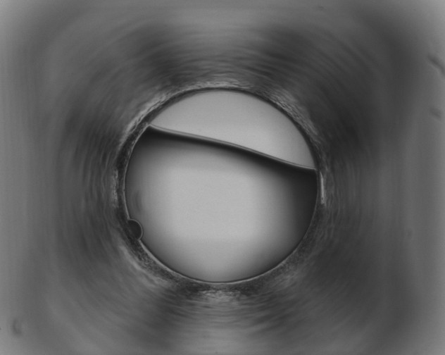 X0000103490300200809120956