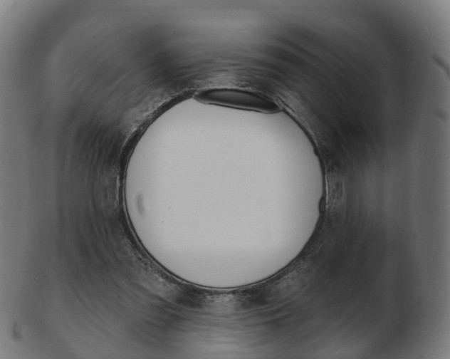 X0000103490301200809120956
