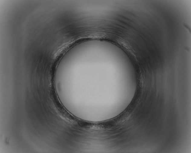 X0000103490303200809120956
