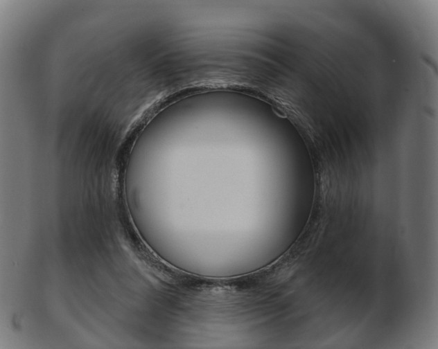 X0000103490304200809120956
