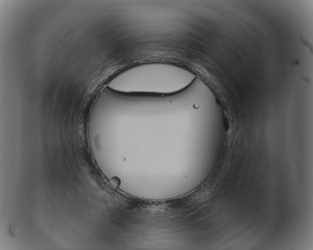 X0000103490306200809120956
