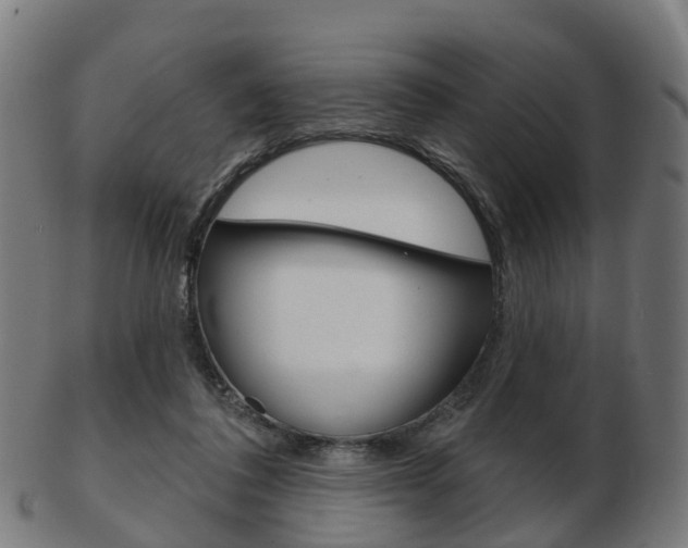 X0000103490308200809120956