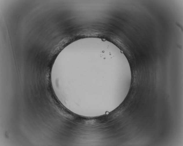 X0000103490309200809120956