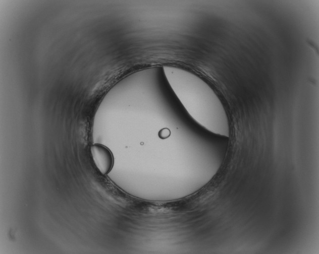 X0000103490311200809120956