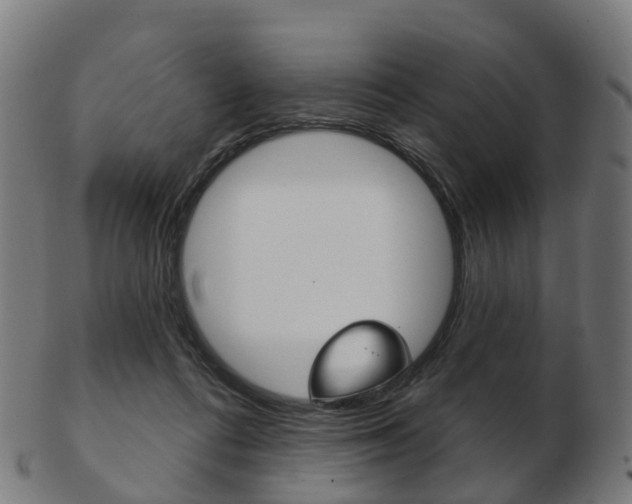 X0000103490312200809120956