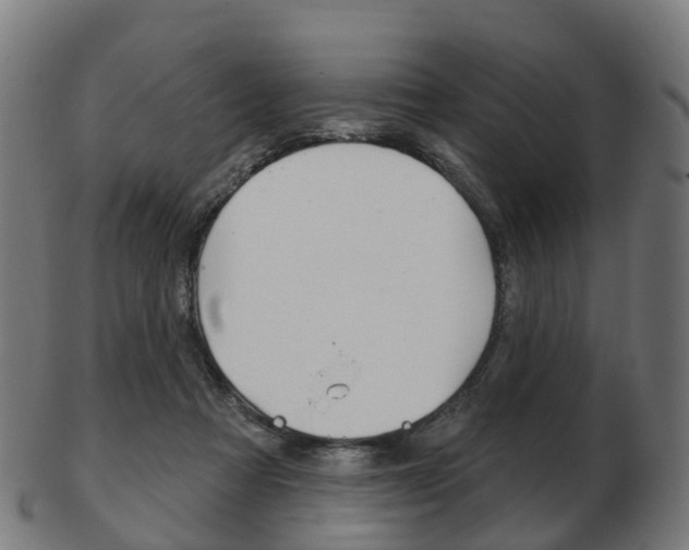 X0000103490313200809120956