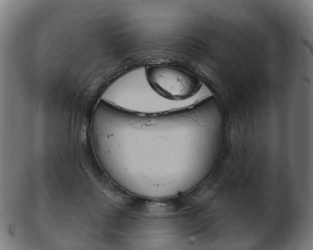 X0000103490315200809120956