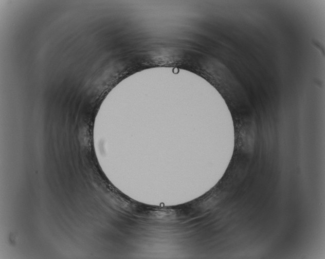 X0000103490317200809120956