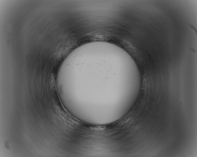 X0000103490318200809120956