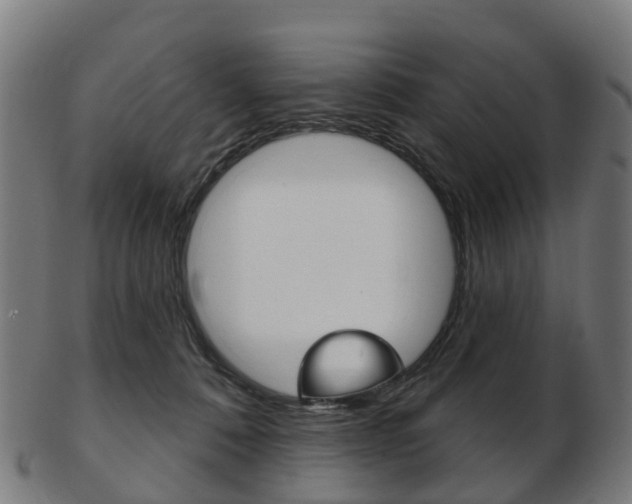 X0000103490320200809120956